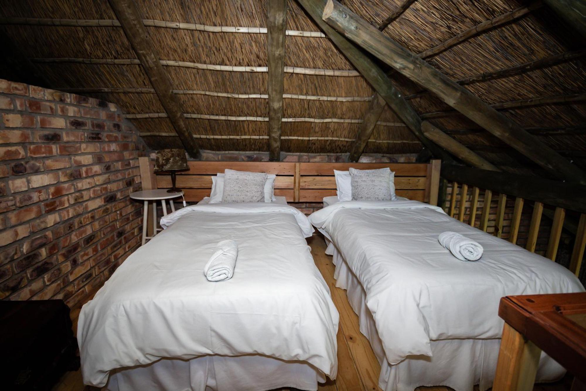 Tarantula Guest House Calvinia Extérieur photo