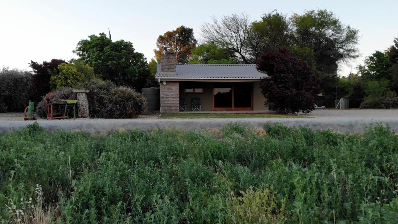 Tarantula Guest House Calvinia Extérieur photo