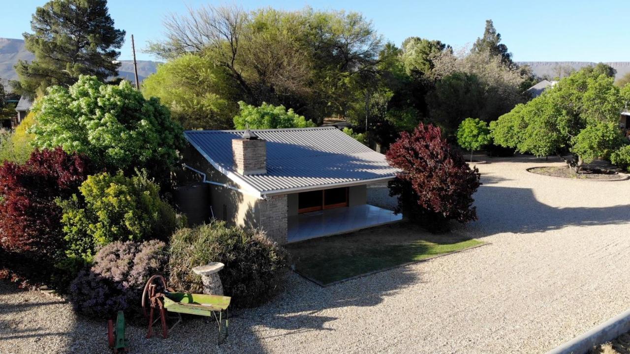 Tarantula Guest House Calvinia Extérieur photo